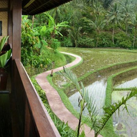 Bali Eco Stay Bagian luar foto