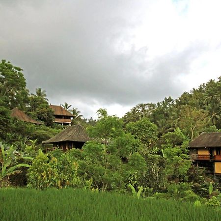 Bali Eco Stay Bagian luar foto