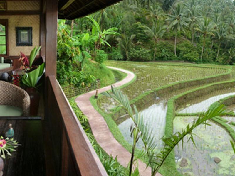 Bali Eco Stay Bagian luar foto