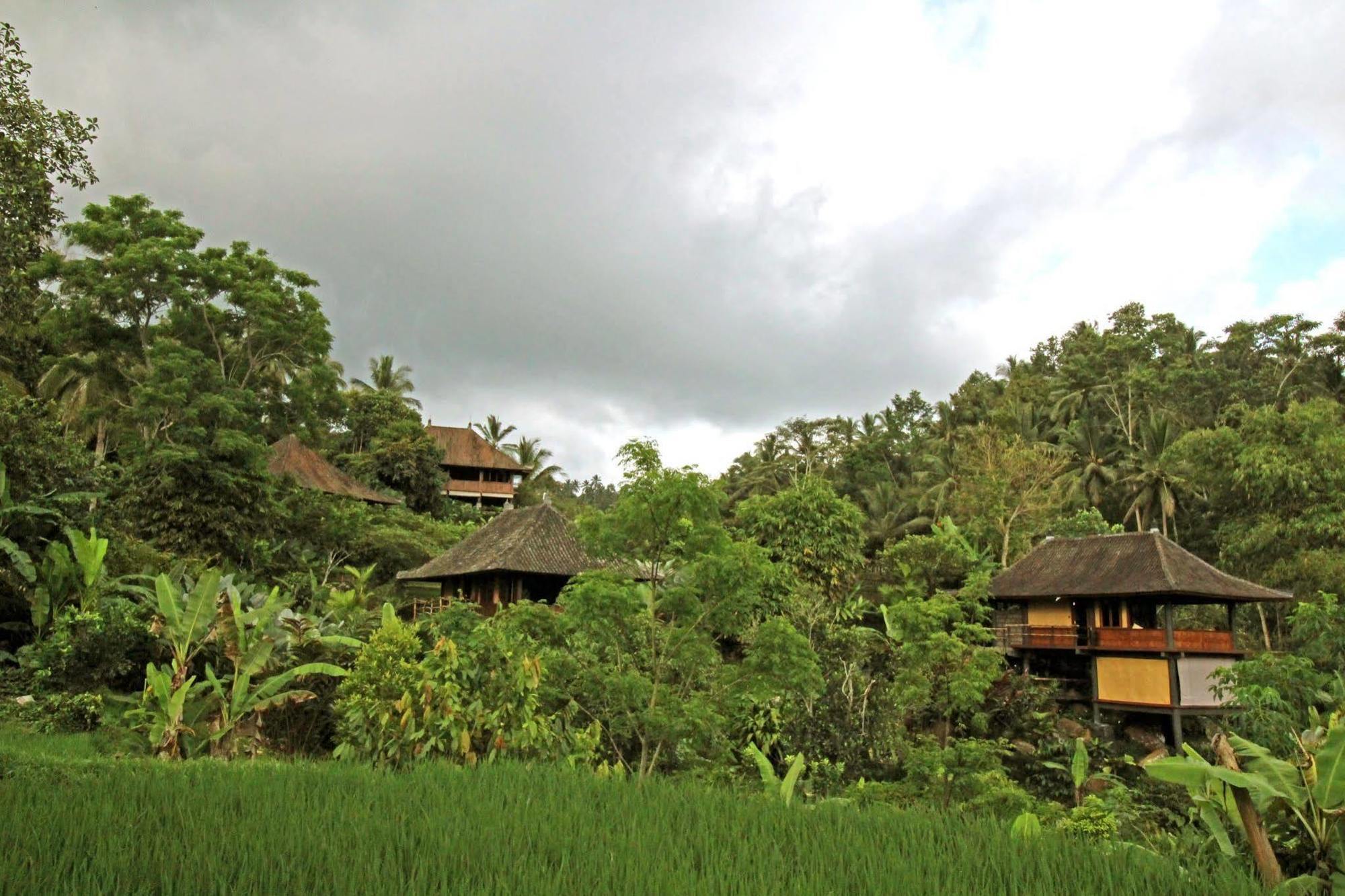 Bali Eco Stay Bagian luar foto